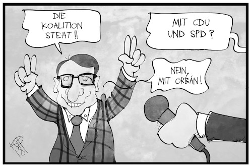 Koalition mit Orban