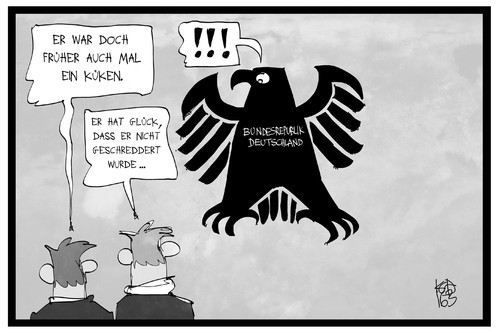 Küken schreddern Küken schreddern