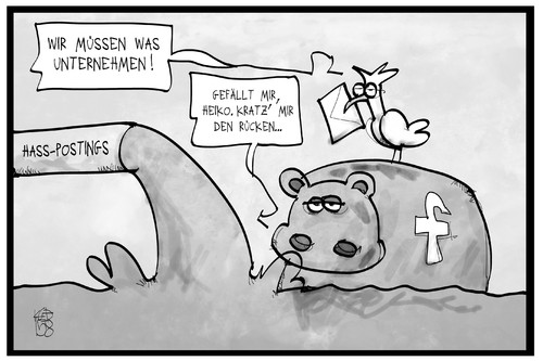 Maas und Facebook Maas und Facebook