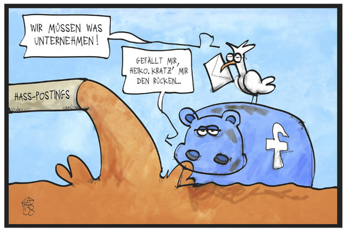 Maas und Facebook Maas und Facebook
