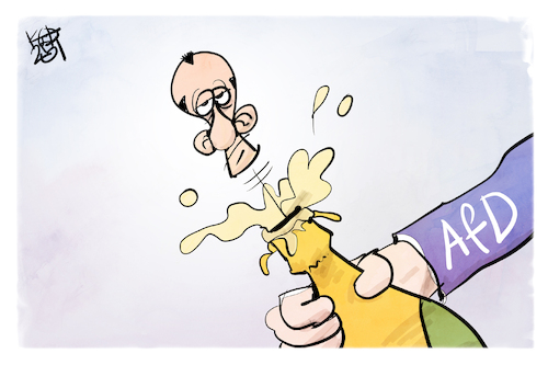 Merz und die AfD Merz und die AfD