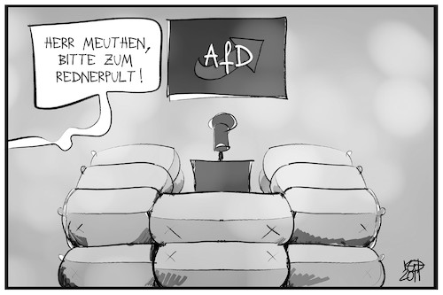 Meuthen unter Beschuss Meuthen unter Beschuss