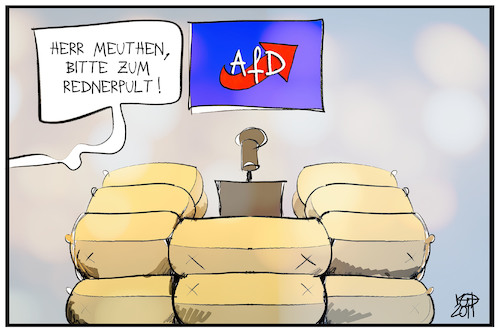 Meuthen unter Beschuss Meuthen unter Beschuss
