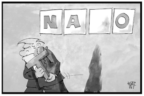 Nato-Gipfel Nato-Gipfel