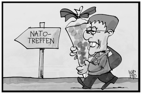 Cartoon: Nato-Treffen (medium) by Kostas Koufogiorgos tagged karikatur,koufogiorgos,illustration,cartoon,nato,gipfel,akk,kramp,karrenbauer,schulanfang,beginn,karikatur,koufogiorgos,illustration,cartoon,nato,gipfel,akk,kramp,karrenbauer,schulanfang,beginn