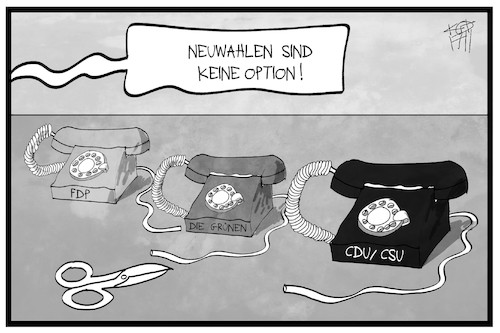 Neuwahlen Neuwahlen