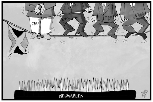 Neuwahlen Neuwahlen