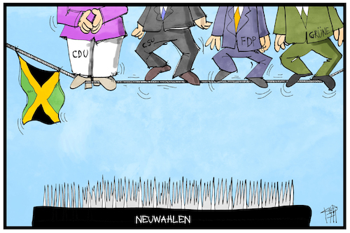 Neuwahlen Neuwahlen