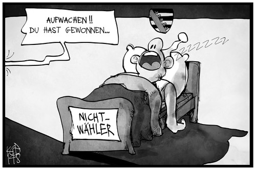 Cartoon: Nichtwähler (medium) by Kostas Koufogiorgos tagged karikaturen,illustration,cartoon,koufogiorgos,nichtwähler,bett,schlaf,wahl,wahlsieger,demokratie,beteiligung,teilhabe,politik,karikaturen,illustration,cartoon,koufogiorgos,nichtwähler,bett,schlaf,wahl,wahlsieger,demokratie,beteiligung,teilhabe,politik