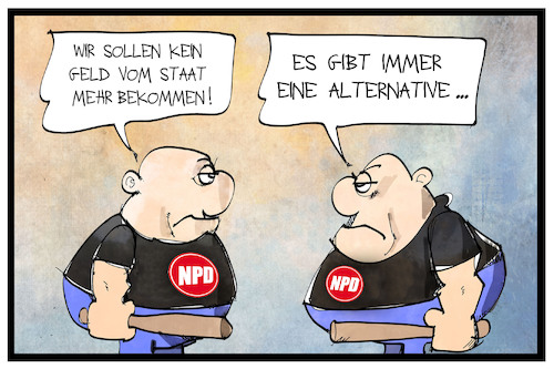 NPD-Finanzierung