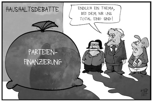 Parteienfinanzierung