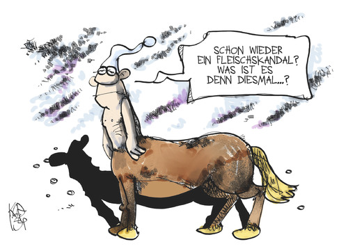 Pferdefleischskandal Pferdefleischskandal