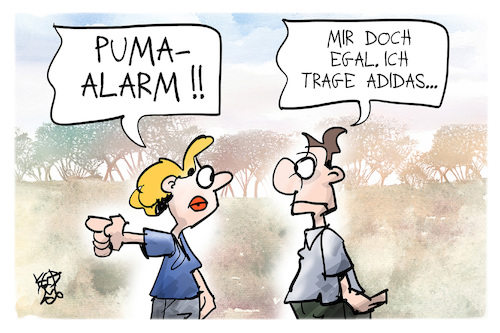 Puma-Sichtung Puma-Sichtung