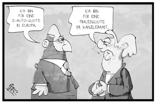 Quotenregelungen Quotenregelungen