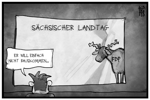Sachsen-FDP