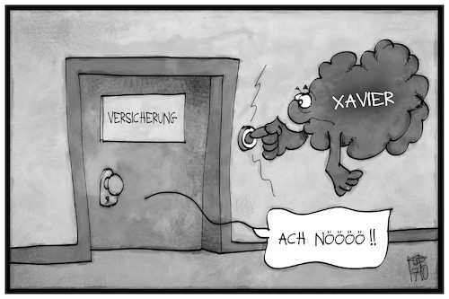 Schäden durch Xavier Schäden durch Xavier