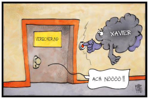 Schäden durch Xavier Schäden durch Xavier