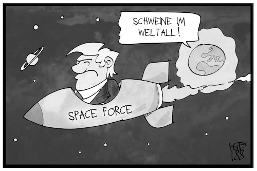Schweine im Weltall Schweine im Weltall