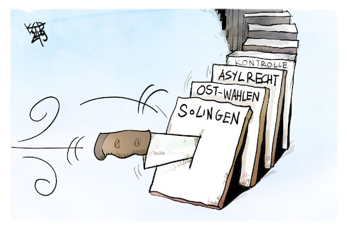 Solingen und die Folgen Solingen und die Folgen