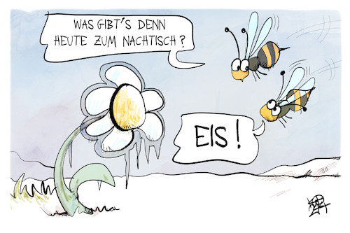 Später Schnee Später Schnee