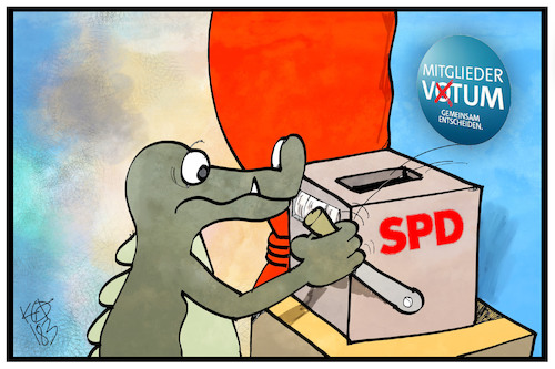 SPD-Mitgliederentscheid