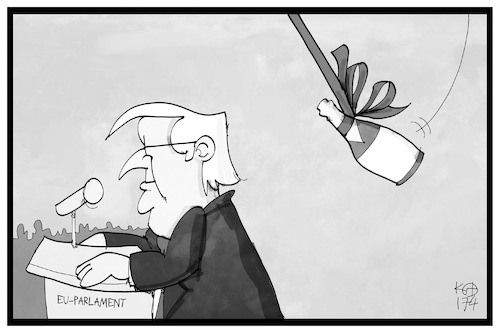 Steinmeier Steinmeier