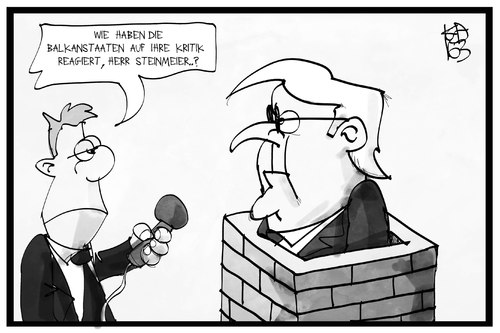 Steinmeier übt Kritik Steinmeier übt Kritik
