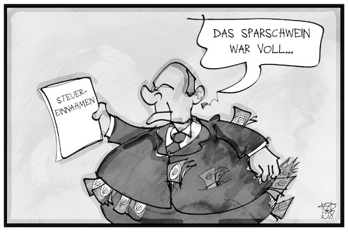 Steuereinnahmen Steuereinnahmen