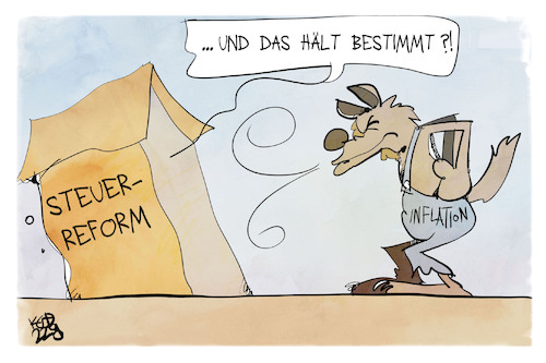 Steuerreform Steuerreform