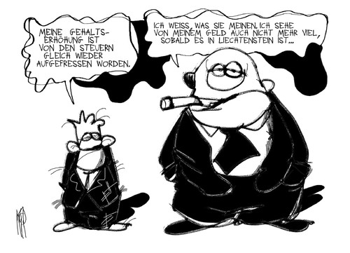 Steuersenkungen Steuersenkungen