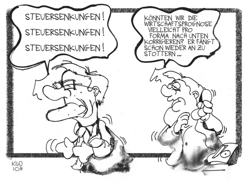 Steuersenkungen Steuersenkungen