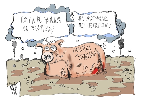 The pig wonders The pig wonders