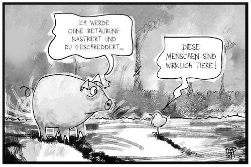 Cartoon: Tierleid (medium) by Kostas Koufogiorgos tagged karikatur,koufogiorgos,illustration,cartoon,tierschutz,tier,ferkel,küken,kastration,mensch,tierwohl,nutztiere,agrar,wirtschaft,karikatur,koufogiorgos,illustration,cartoon,tierschutz,tier,ferkel,küken,kastration,mensch,tierwohl,nutztiere,agrar,wirtschaft