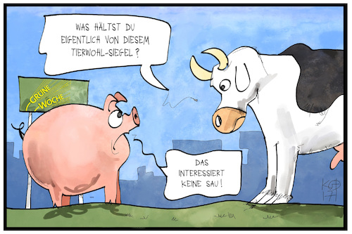 Cartoon: Tierwohl-Siegel (medium) by Kostas Koufogiorgos tagged karikatur,koufogiorgos,illustration,cartoon,tierwohl,siegel,rind,schwein,sau,gruene,woche,kennzeichnung,nutztiere,tierhaltung,ernährung,verbraucher,kuh,fleisch,landwirtschaft,karikatur,koufogiorgos,illustration,cartoon,tierwohl,siegel,rind,schwein,sau,gruene,woche,kennzeichnung,nutztiere,tierhaltung,ernährung,verbraucher,kuh,fleisch,landwirtschaft