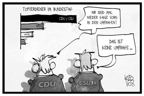 Topverdiener im Bundestag