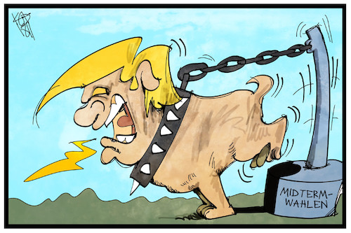 Cartoon: Trump an der Kette (medium) by Kostas Koufogiorgos tagged karikatur,koufogiorgos,illustration,cartoon,trump,kette,midterm,wahlen,hund,angeleint,demokraten,republikaner,karikatur,koufogiorgos,illustration,cartoon,trump,kette,midterm,wahlen,hund,angeleint,demokraten,republikaner