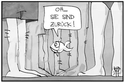 Urlaub 2021 Urlaub 2021
