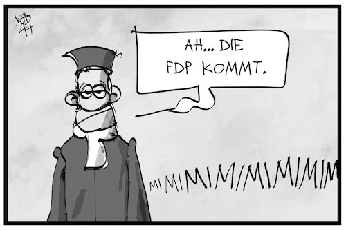 Verfassungsklage Verfassungsklage