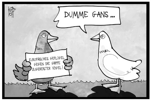 Vogelgrippe Vogelgrippe