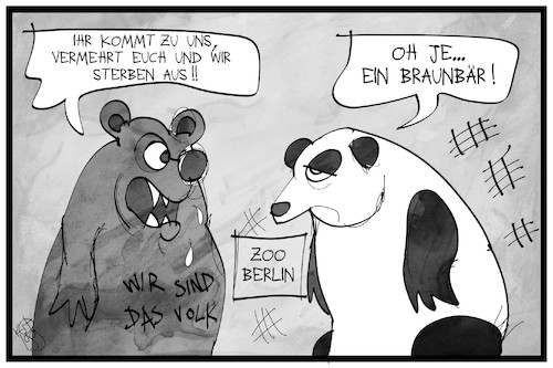 Von Panda- und Braunbären