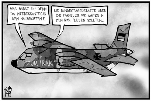 Cartoon: Waffen in den Irak (medium) by Kostas Koufogiorgos tagged karikaturen,illustration,cartoon,koufogiorgos,waffen,waffenlieferung,irak,transport,bundestagsdebatte,is,krieg,konflikt,politik,karikaturen,illustration,cartoon,koufogiorgos,waffen,waffenlieferung,irak,transport,bundestagsdebatte,is,krieg,konflikt,politik