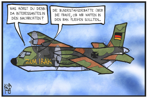 Cartoon: Waffen in den Irak (medium) by Kostas Koufogiorgos tagged bundestagsdebatte,über,waffenlieferungen,in,den,irak,bundestagsdebatte,über,waffenlieferungen,in,den,irak