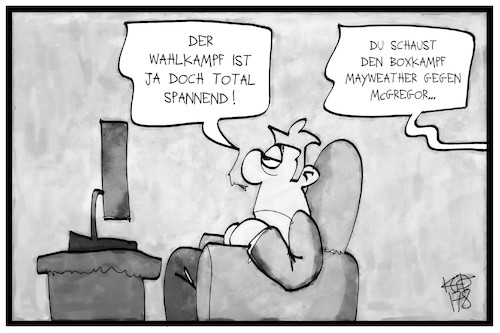 Wahl- oder Boxkampf Wahl- oder Boxkampf