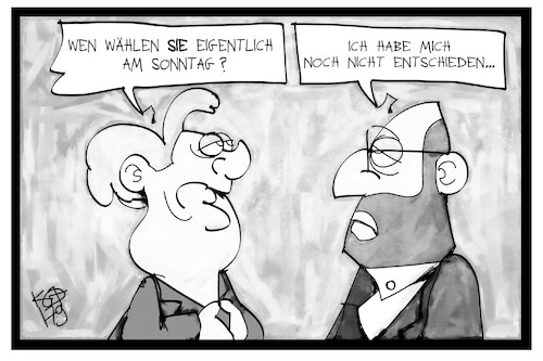 Wahlentscheidung Wahlentscheidung