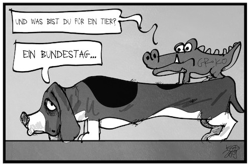 Wahlrechtsreform Wahlrechtsreform