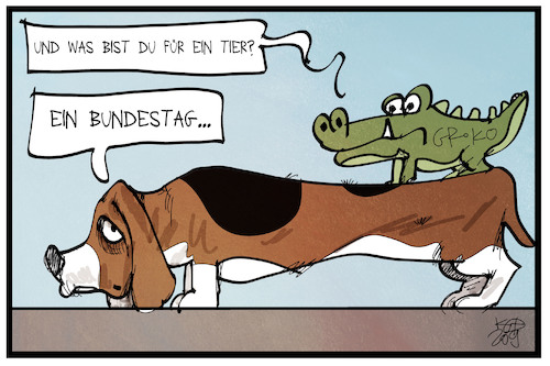 Wahlrechtsreform Wahlrechtsreform