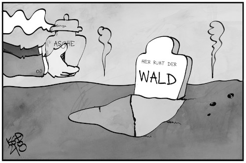 Waldbrände Waldbrände