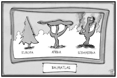 Cartoon: Waldbrand in Südamerika (medium) by Kostas Koufogiorgos tagged karikatur,koufogiorgos,illustration,cartoon,waldbrand,suedamerika,baum,atlas,umwelt,feuer,regenwald,karikatur,koufogiorgos,illustration,cartoon,waldbrand,suedamerika,baum,atlas,umwelt,feuer,regenwald