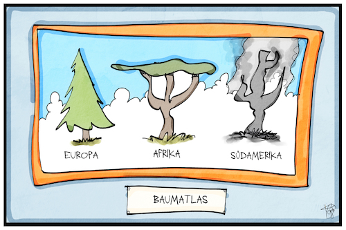 Cartoon: Waldbrand in Südamerika (medium) by Kostas Koufogiorgos tagged karikatur,koufogiorgos,illustration,cartoon,waldbrand,suedamerika,baum,atlas,umwelt,feuer,regenwald,karikatur,koufogiorgos,illustration,cartoon,waldbrand,suedamerika,baum,atlas,umwelt,feuer,regenwald