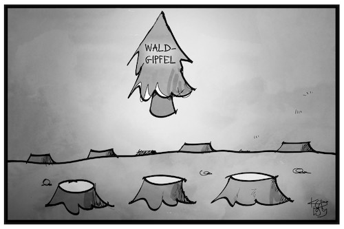 Waldgipfel Waldgipfel